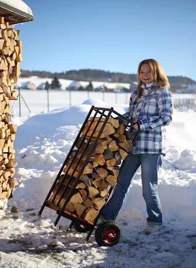 Zásobník na dřevo - pojízdný dřevník v zimě